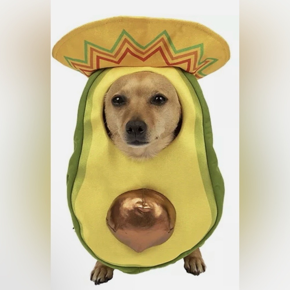 PetShoppe Avocado Dog Costume with Sombrero Hat XS/S Green Yellow WIC 646233 New